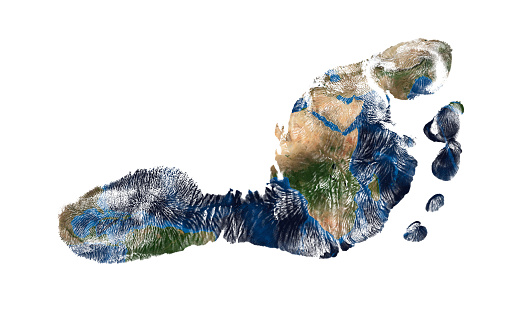 Pegada ecolgica: o que  e qual sua importncia